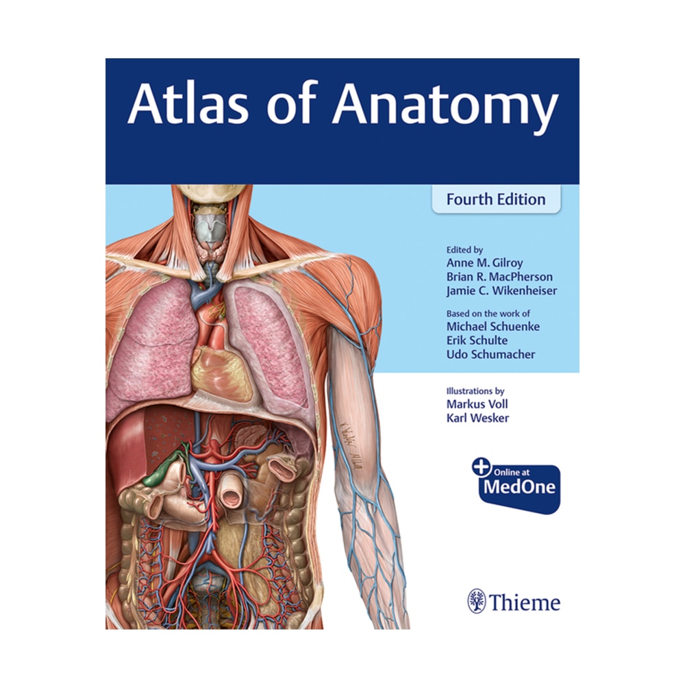 Gilroy, Atlas of Anatomy, 9781684202034, Thieme Medical Publishers, 2020, Medical, Books